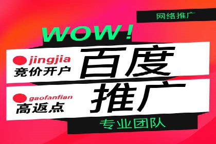 某电商平台的SEM推广策略全解析